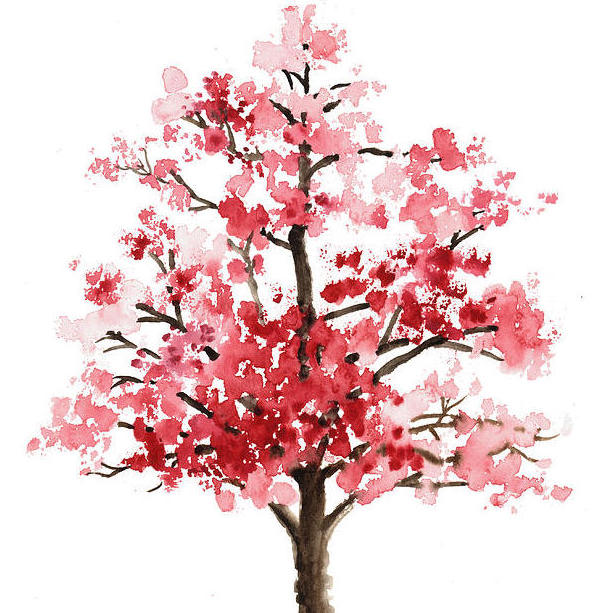 Popular decision tree algorithms are provably noise tolerant